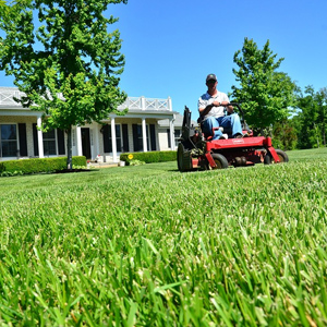 Lawn Mowing Northern Rivers, Handyman Services Wollongbar, Gardening Alstonville